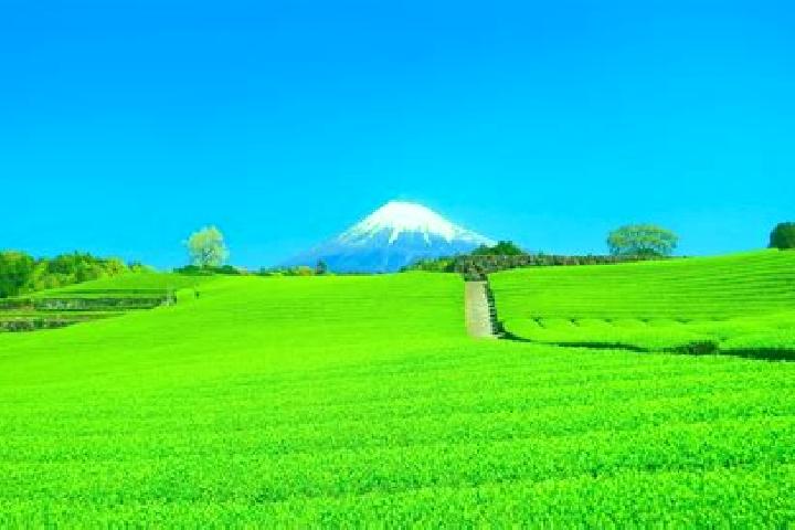 Jade, 32 — Escort in Obuchi, Japan