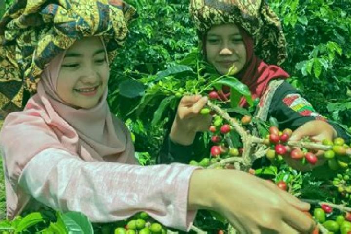 Jade, 32 — Escort in Onan Ganjang Satu, Indonesia