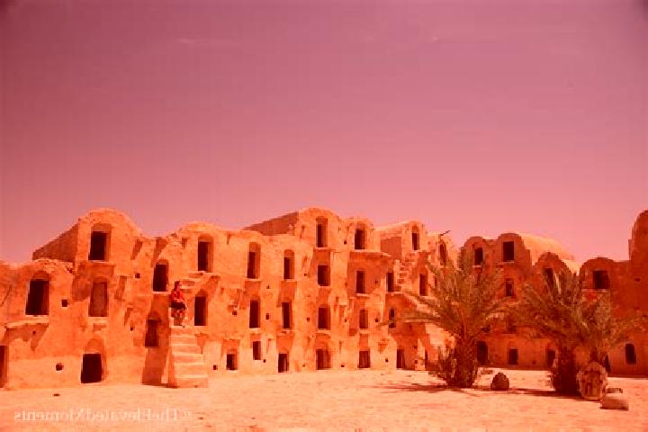 Jade, 33 — Escort in El Ksar, Tunisia