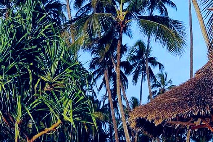 Jade, 33 — Escort in Kandete, Tanzania