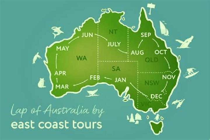 Jade, 34 — Escort in Dondingalong, Australia