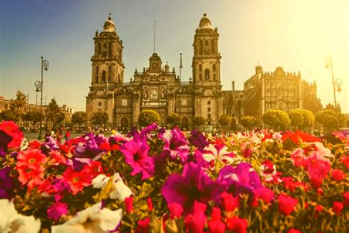 Jade, 35 — Escort in Ciudad Ayala, Mexico
