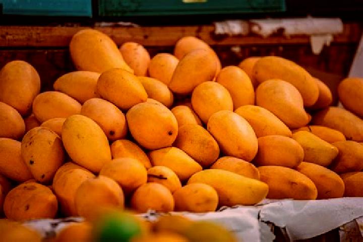 Jade, 35 — Escort in Colonia Mangos (El Quemado), Mexico