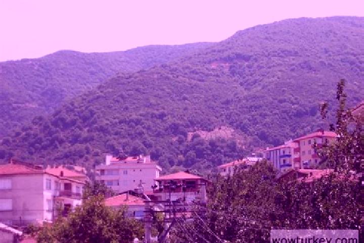 Jade, 35 — Escort in Esenkoey, Turkey
