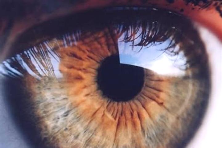 Jade, 36, a dark blonde hazel-eyed ebony companion based in Waupun. Offering Fetish, Massage, 69, GFE, Girlfriend Experience. Available for incall and outcal...
