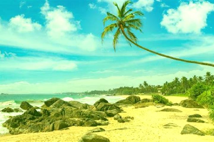 Jade, 36 — Escort in Ambalangoda, Sri Lanka