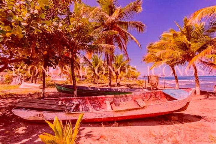 Jade, 36 — Escort in Baracoa, Honduras