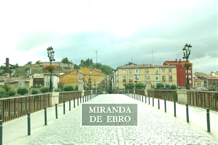 Jade, 36 — Escort in Cabanas de Ebro, Spain