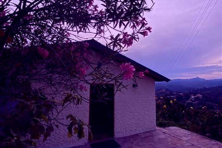 Jade, 36 — Escort in Lebrija, Colombia