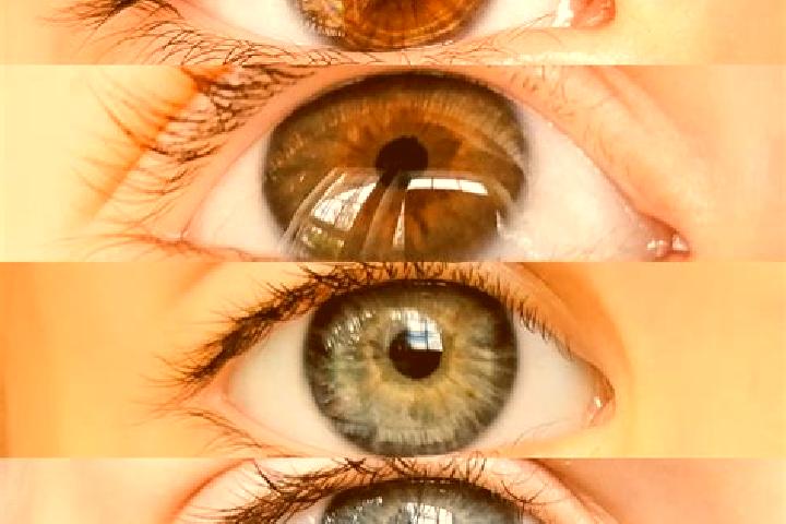 Jade, 37, a chestnut dark-eyed mixed companion based in Bokaa. Offering Couples, Domination, Roleplay, CIM. Available for incall and outcall, day and evening...