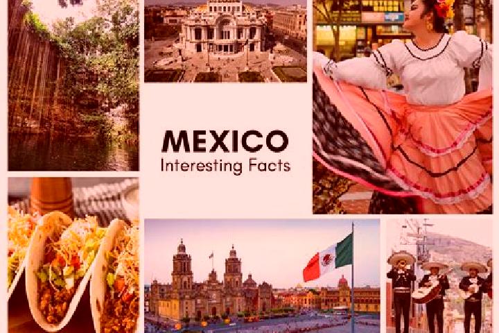 Jade, 37 — Escort in Baca, Mexico