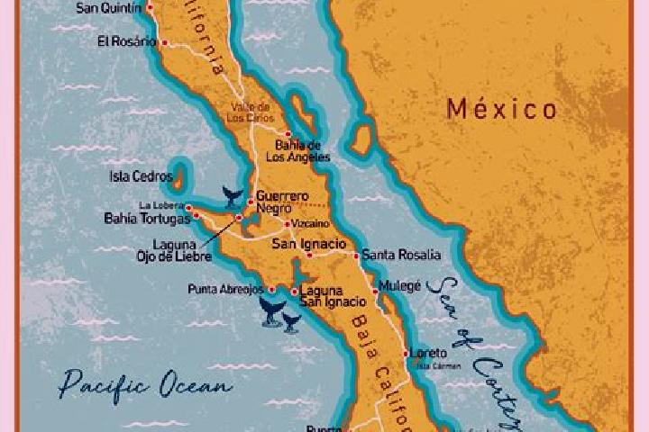 Jade, 37 — Escort in Cala Sur, Mexico