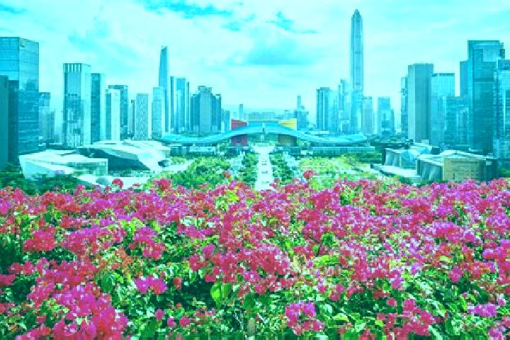 Jade, 37 — Escort in Lianhuashan, China
