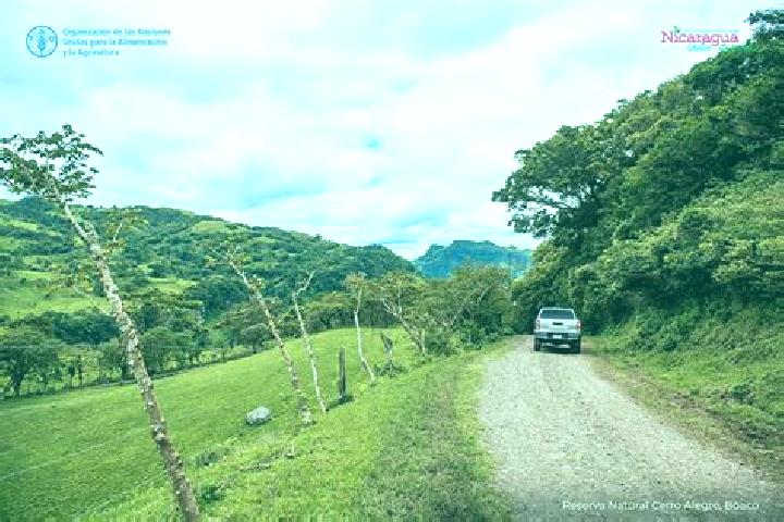 Jade, 37 — Escort in San Jose de los Remates, Nicaragua