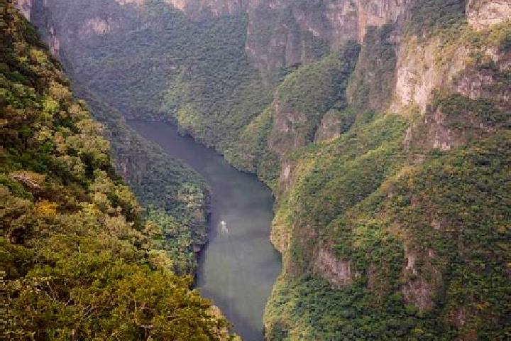 Jade, 37 — Escort in Sumidero, Mexico