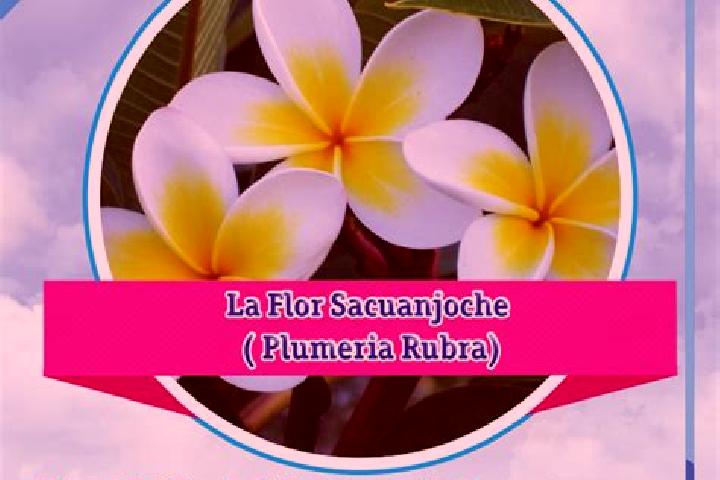 Jade, 38 — Escort in Karawala, Nicaragua