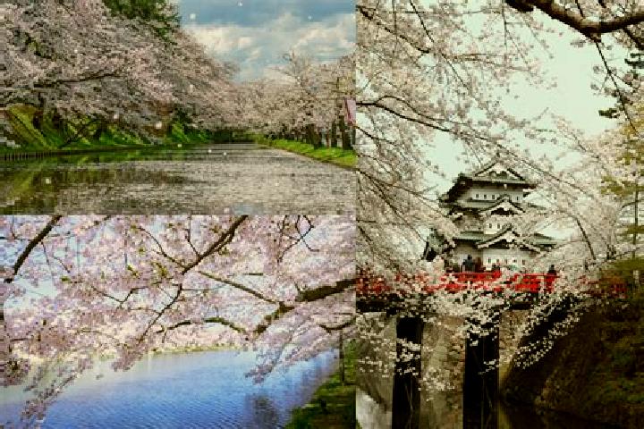 Jade, 39 — Escort in Aomori, Japan