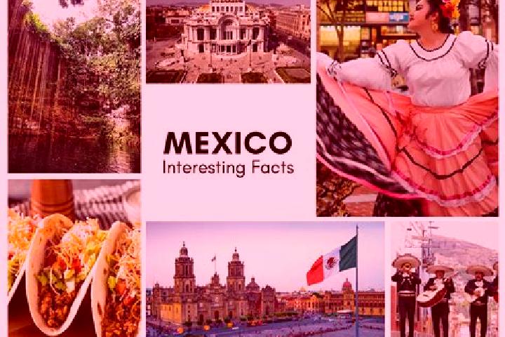 Jade, 39 — Escort in Ignacio Gutierrez, Mexico