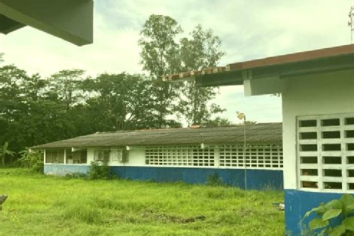 Jade, 39 — Escort in Las Guabas, Panama