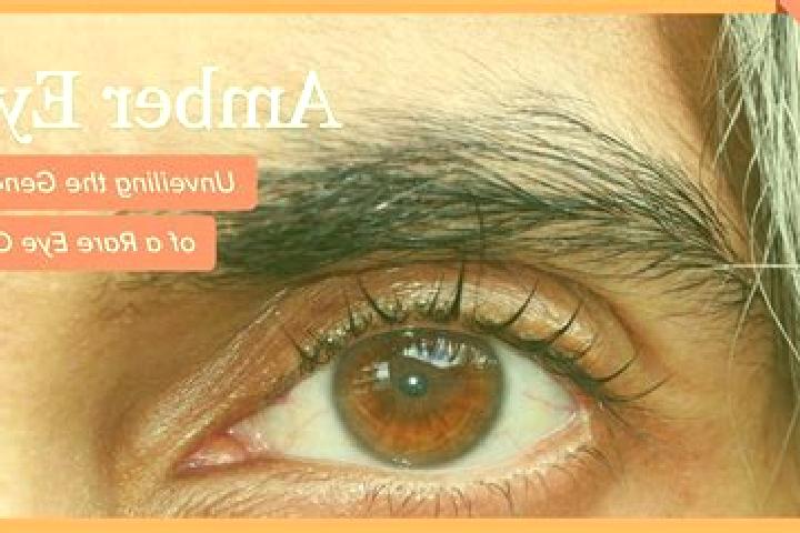 Kinsley, 20, a black amber-eyed european companion based in Buchhofen. Offering Girlfriend Experience, A-Level, Overnight, 69. Available for incall and outca...