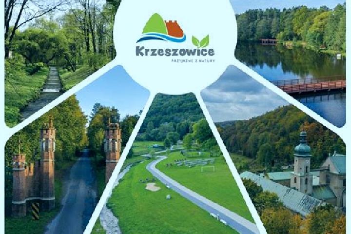Kinsley, 20 — Escort in Kaszow, Poland