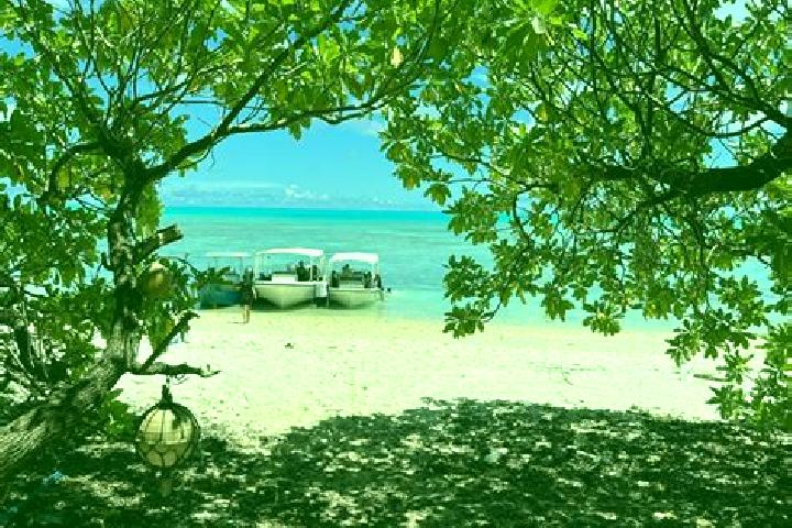 Kinsley, 20 — Escort in Kayangel, Palau
