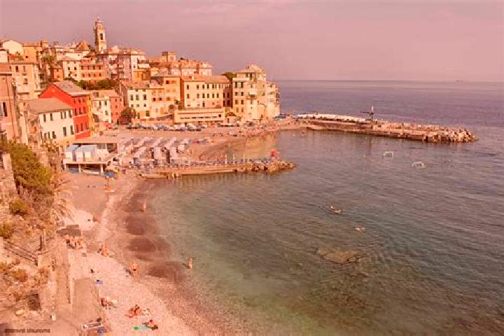 Kinsley, 20 — Escort in Pontetto-Roldo, Italy