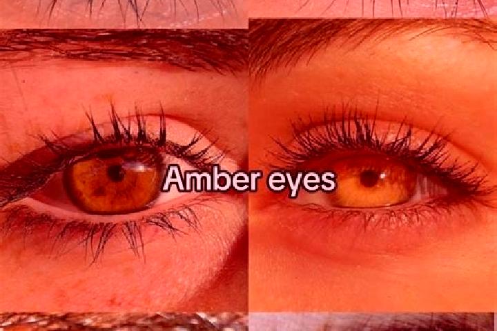 Kinsley, 21, a chestnut amber-eyed indian companion based in Villadecanes. Offering Prostate Massage, GFE, 69. Available for incall and outcall, overnight bo...
