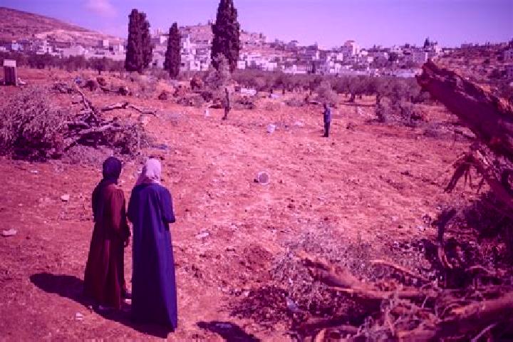 Kinsley, 21 — Escort in Al Mughayyir, Palestine