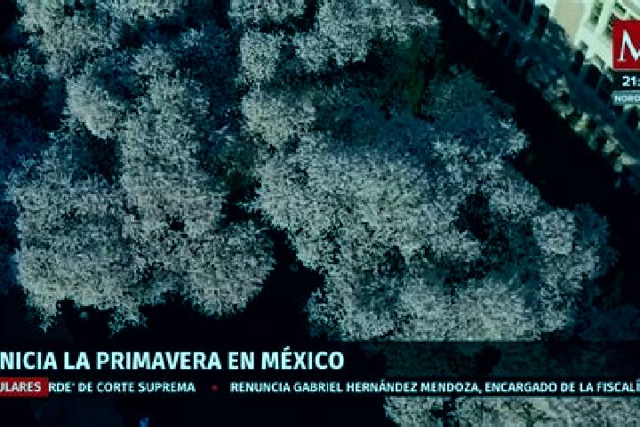 Kinsley, 21 — Escort in Eterna Primavera, Mexico