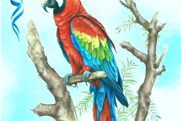 Kinsley, 21 — Escort in La Guacamaya, Honduras