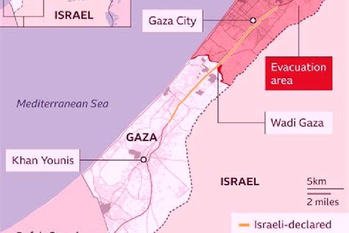 Kinsley, 21 — Escort in Rafat, Palestine