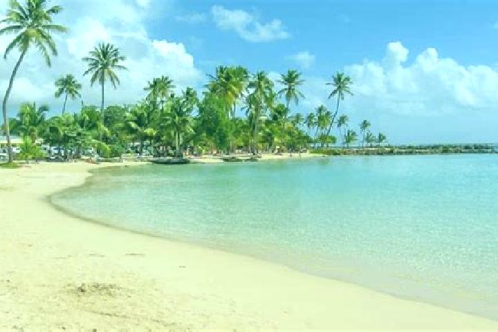 Kinsley, 21 — Escort in Sainte-Anne, Guadeloupe