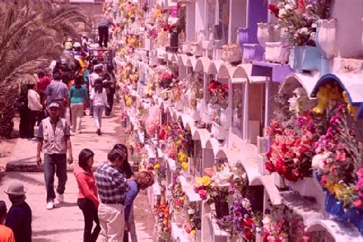 Kinsley, 21 — Escort in Sapalache, Peru