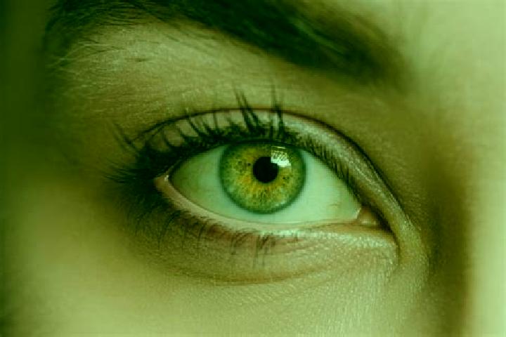 Kinsley, 22, a black hazel-eyed mixed companion based in Crocefisso. Offering Erotic Massage, Tantra, OWO. Available for incall and outcall, overnight bookin...