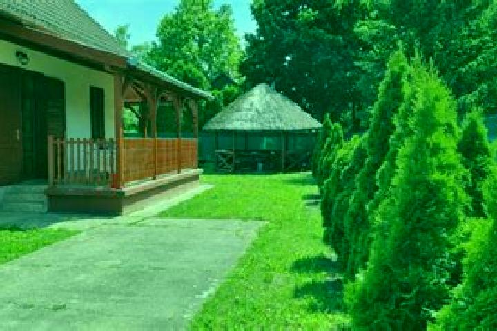 Kinsley, 22 — Escort in Abadszalok, Hungary