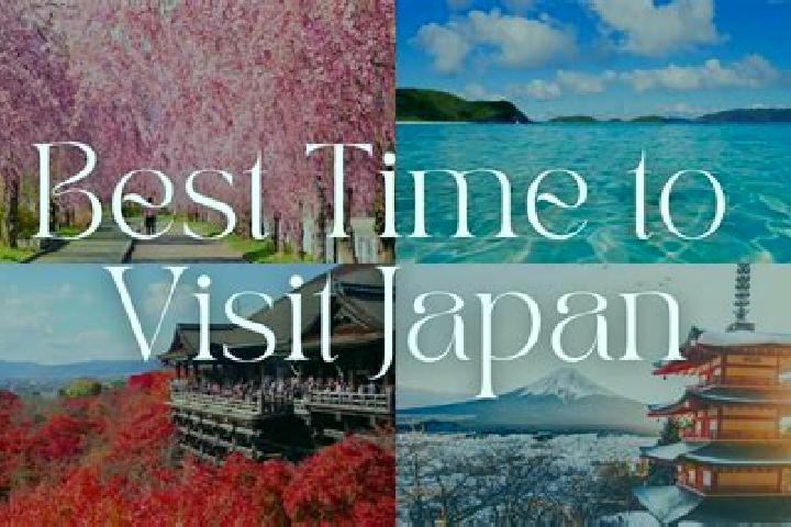 Kinsley, 22 — Escort in Amaji, Japan