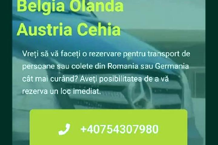 Kinsley, 22 — Escort in Barastii de Vede, Romania