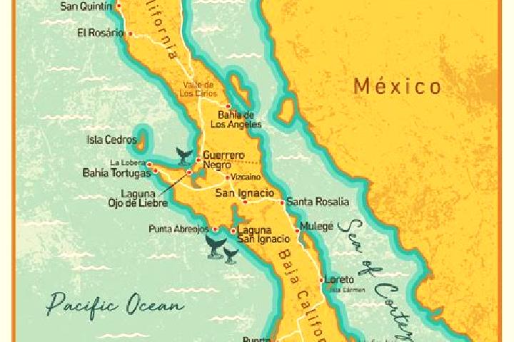 Kinsley, 22 — Escort in Cala Sur, Mexico