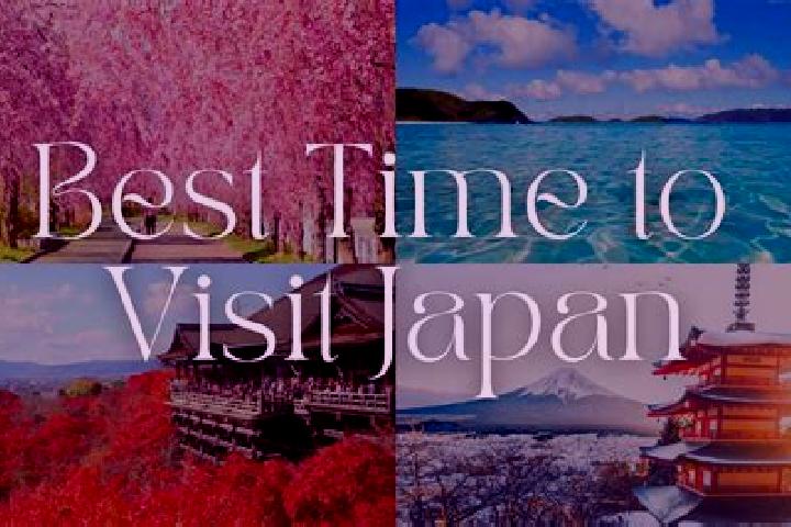 Kinsley, 22 — Escort in Kasaishi, Japan