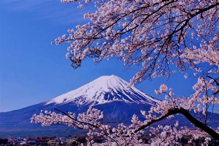 Kinsley, 22 — Escort in Koshi, Japan