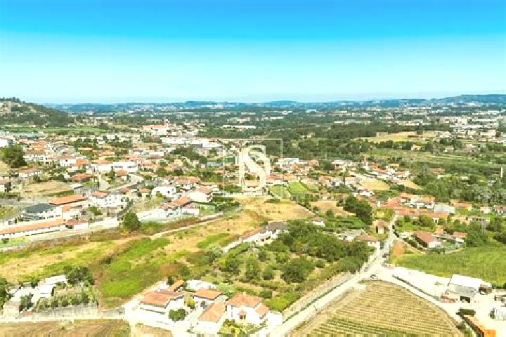 Kinsley, 22 — Escort in Negrelos, Portugal