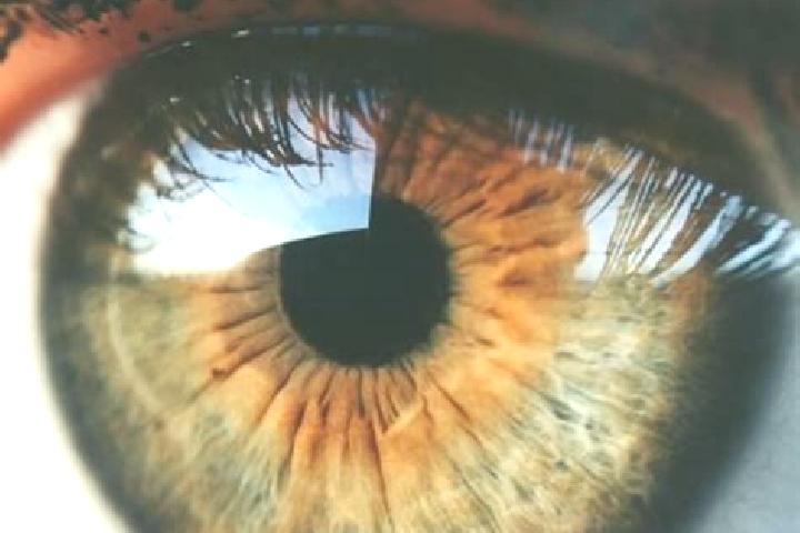 Kinsley, 23, a dark blonde hazel-eyed mediterranean companion based in Zelyony Gorod. Offering Tantra, Girlfriend Experience, Roleplay, OWO, Fetish. Availabl...