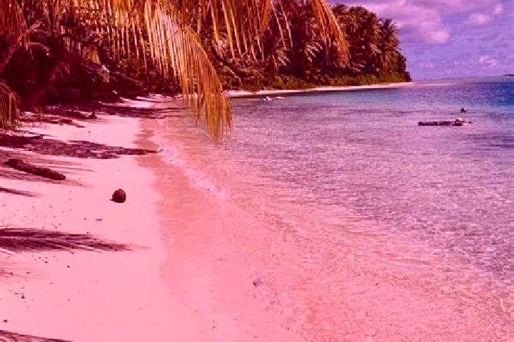 Kinsley, 23 — Escort in Elato, Micronesia