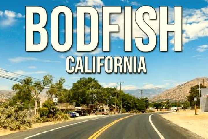 Kinsley, 24 — Escort in Bodfish, United States