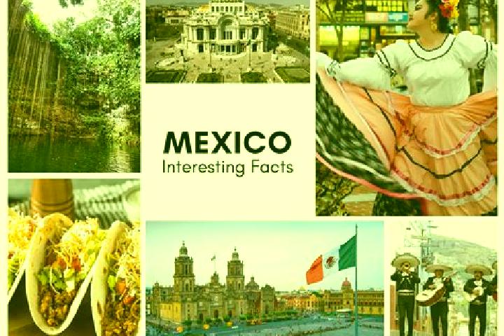 Kinsley, 24 — Escort in Quimichis, Mexico