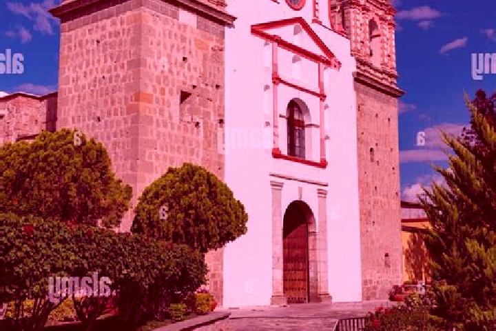 Kinsley, 24 — Escort in Tlacolula de Matamoros, Mexico