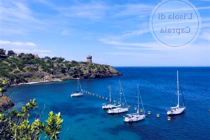 Kinsley, 25 — Escort in Capraia Isola, Italy