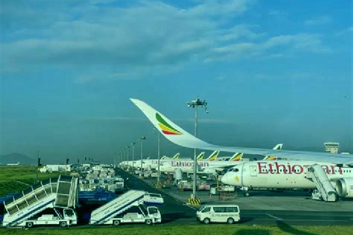 Kinsley, 25 — Escort in Mega, Ethiopia