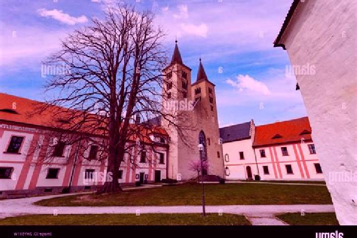 Kinsley, 25 — Escort in Milevsko, Czech Republic